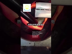 torréfacteur de graines de qingjiang pour presses à chaud à huile