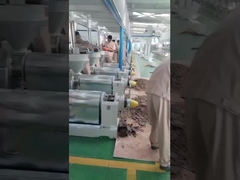 machine de pressage à l'huile de chili