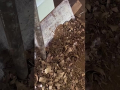 huile de graines de raisin pressée à froid