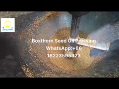 extracteur d'huile pressé à froid