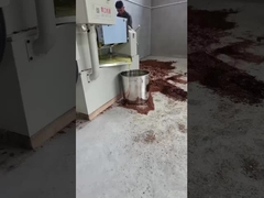 machine à presses à huile froide