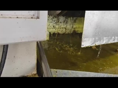 machine à pressage à froid de l'huile de noix de coco